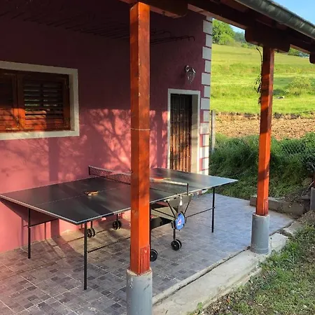 펜션 Planinska Kuca Mitke *