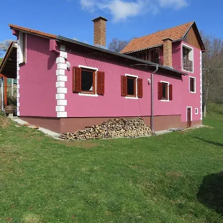 펜션 Planinska Kuca Mitke *