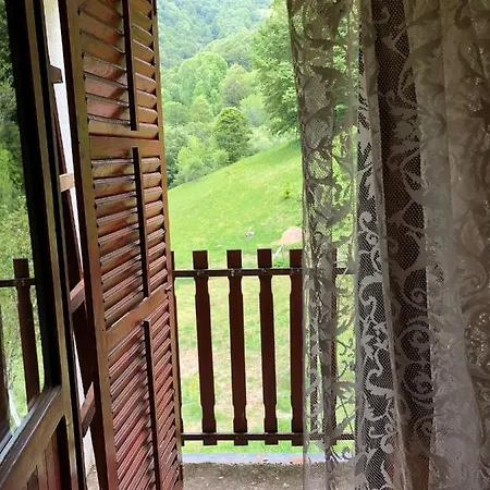 Planinska Kuca Mitke 펜션