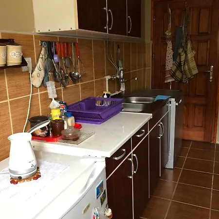 Planinska Kuca Mitke 펜션 Prolesje