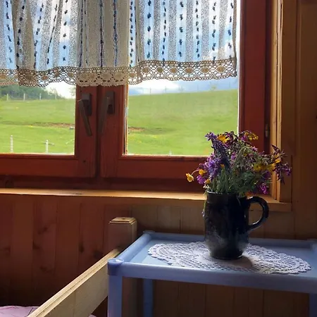 Planinska Kuca Mitke 펜션