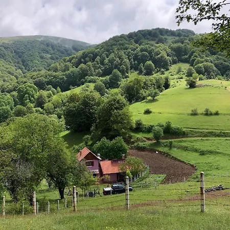 Planinska Kuca Mitke 펜션